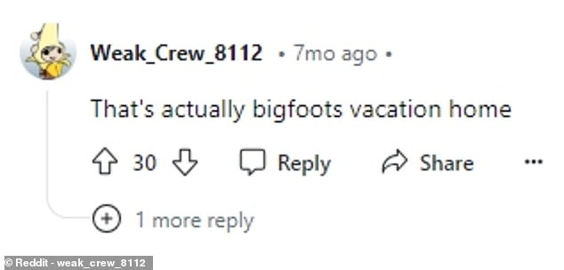 The discovery has sparked a number of theories on the Internet, including Bigfoot's vacation home or a Star Trek shuttle.