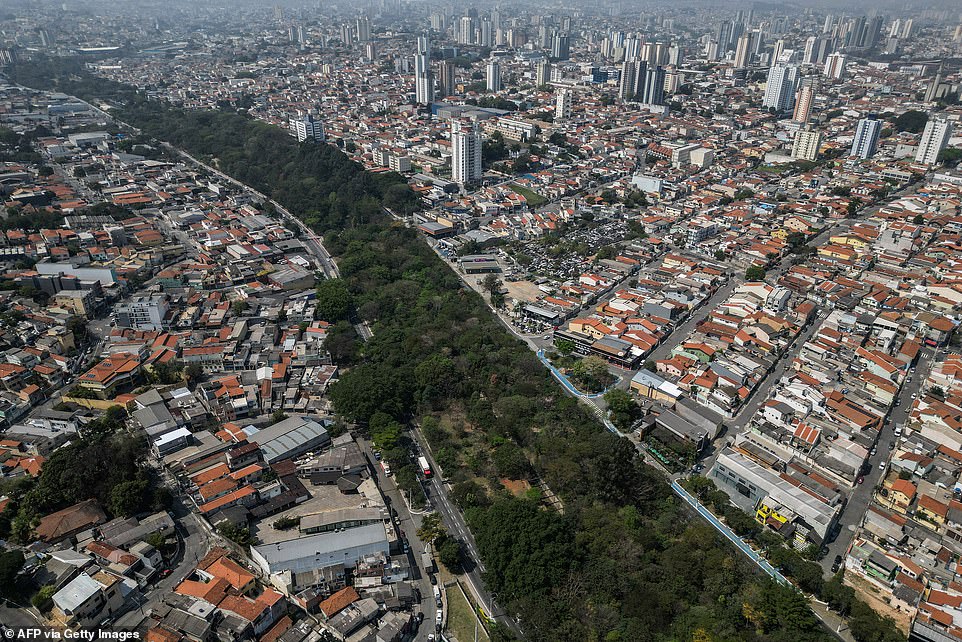 The park helps prevent river bank erosion, reduces the temperature of Sao Paulo's concrete urban center and improves air quality