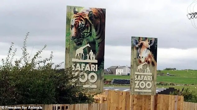 South Lakes Safari Zoo in Dalton in Furness, Cumbria, has been embroiled in controversy with a keeper, who was mauled to death by a tiger more than a decade ago and nearly 500 animals died at the facility in the space of three years.