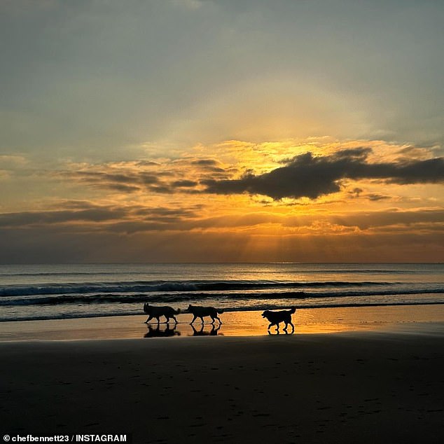 Another image showed a trio of dogs walking along the coast at dusk without leashes. It's unclear if they were on a dog-friendly section of the beach.