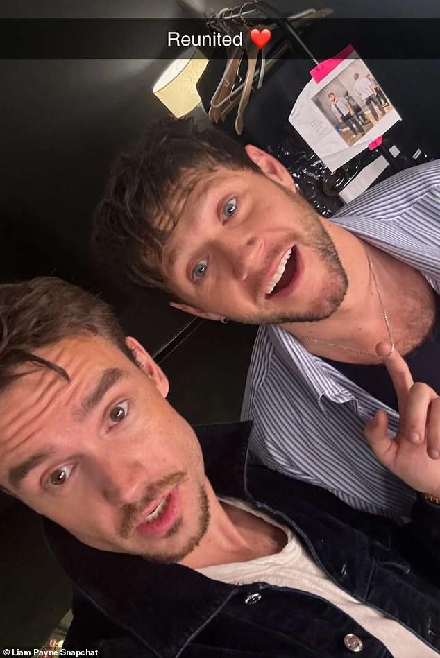 A heartbreaking video shows Liam Payne singing and dancing with his former bandmate Niall Horan, where he then posted a photo with Horan on Snapchat with the caption: 'Reunited.'