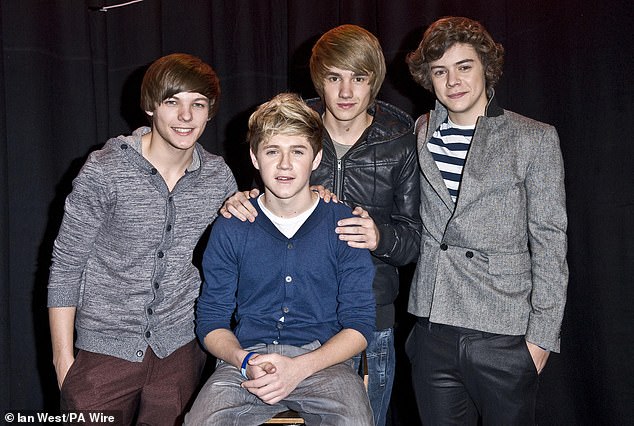 (From left) Louis Tomlinson, Niall Horan (seated) Liam Payne and Harry Styles in 2010