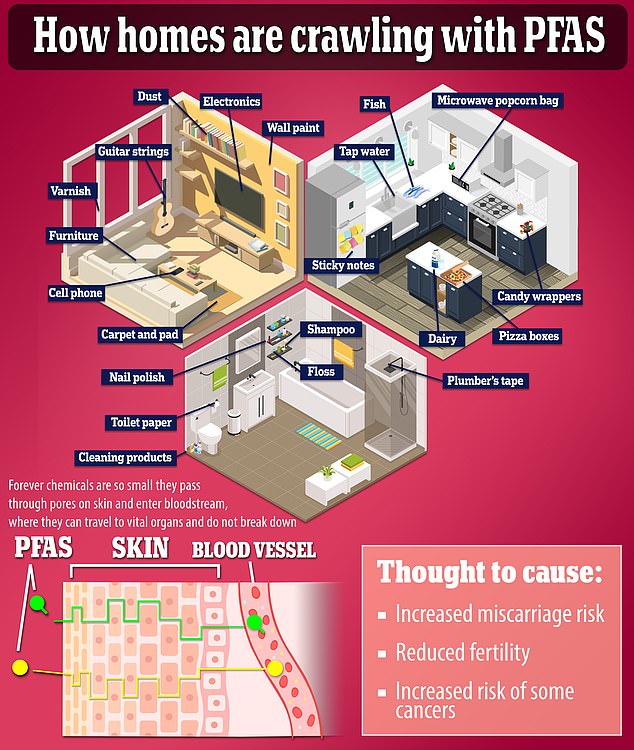 1729169608 545 Alarm as perennial chemicals that can cause birth defects and