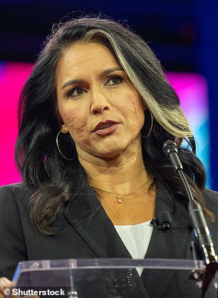 Former US Representative Tulsi Gabbard