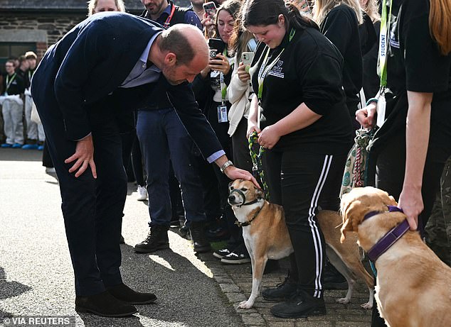 The royal smiled as an excited pup named Ripper jumped up and touched him, clearly excited to receive attention from the future King. In the photo petting other dogs too.