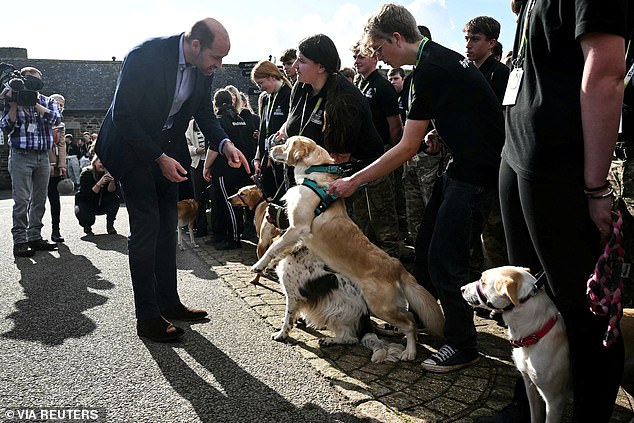 Other dogs also seemed excited about the royal visit, as William took a trip to Cornwall today.