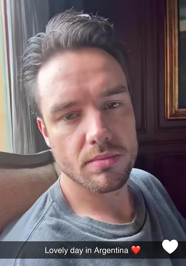 One of Liam Payne's last selfies in Buenos Aires was titled: 