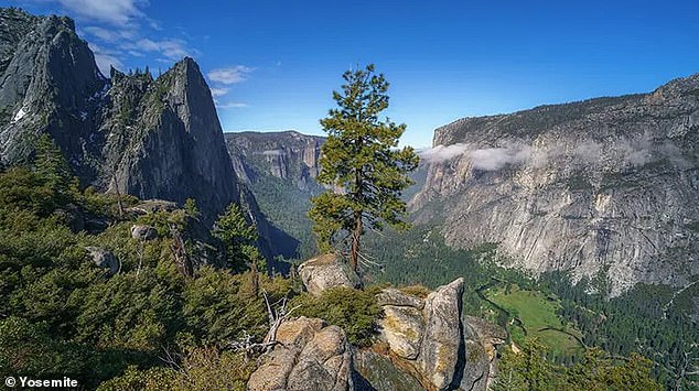 The young adventurer was killed by a falling tree while climbing the spectacular Four Mile Trail to Glacier Point in Yosemite National Park on October 8.