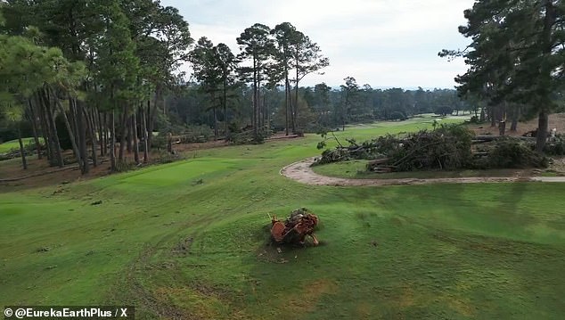 The tees appear to have narrowly avoided demolition after the iconic pine trees collapsed