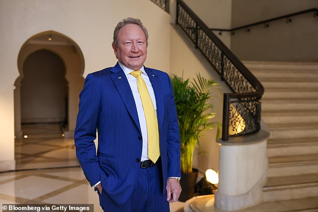 Andrew 'Twiggy' Forrest to focus on Fortescue iron ore empire