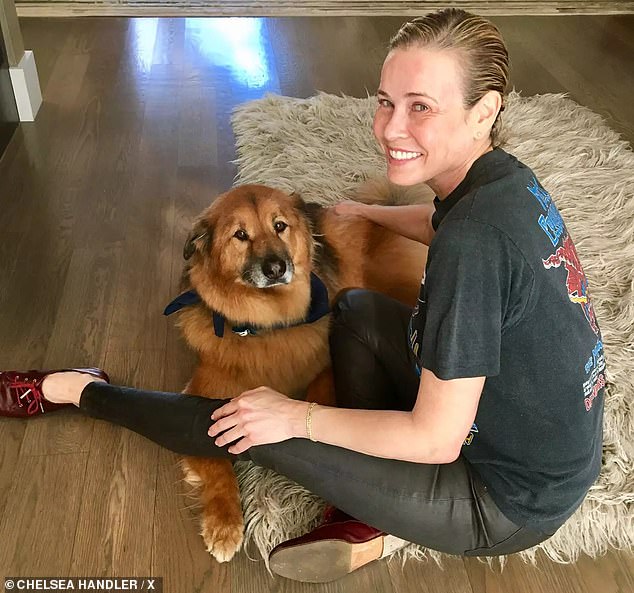 1729202576 614 Chelsea Handler admits she accidentally gave her dog Adderall instead