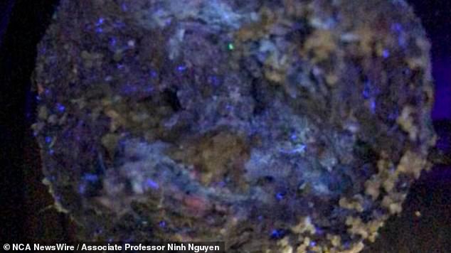 UNSW researchers have studied tar balls under ultraviolet light (pictured)