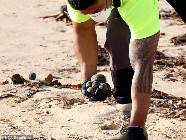 Cleanup efforts began Wednesday to safely remove and dispose of debris from popular beaches.