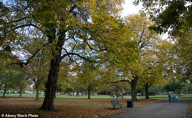 Shotter was found dead on a bench in Southall Park (pictured), west London, in July 2021.