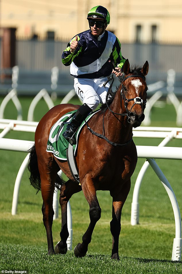 Tim Clark riding Eliyass wins the James Squire Kingston Town Stakes during Sydney Surf To Turf Day