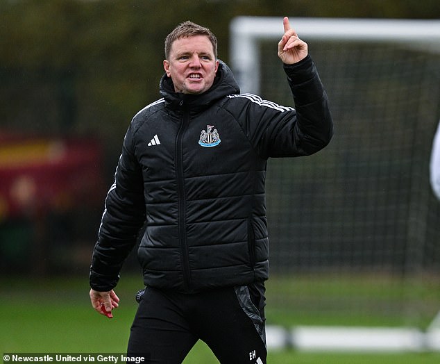 But Newcastle's Eddie Howe was one of seven English managers not interviewed by the FA.