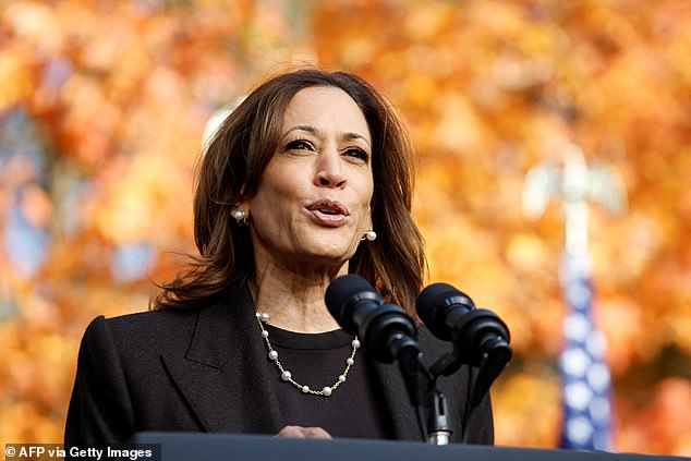 Democrat Harris raised questions about Republican Trump's physical stamina to serve effectively as president as the two rivals swept through the deadlocked battleground state of Michigan.