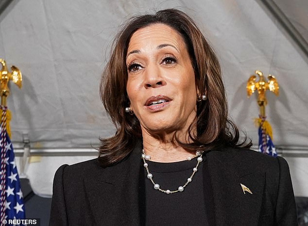 Trump is ready to fight Democratic candidate Harris for the top job in the White House.