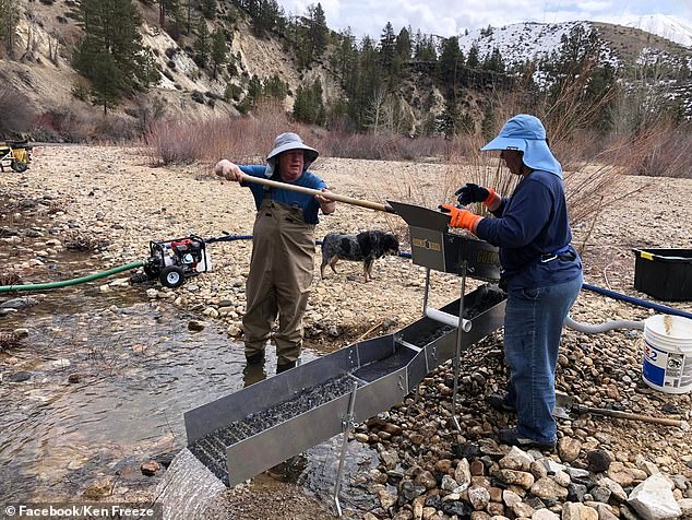 The Freezes now spend their weekends in Idaho searching for gold deposits in nearby river beds, searching for artifacts with metal detectors, and spending time in their woodturning studio built in the garage.