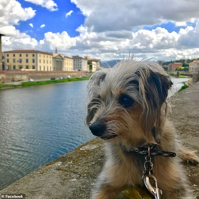 Waite also managed to take her two rescue dogs on a plane with her for her trip to London, where she would then go straight to Milan.