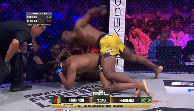 After scoring a takedown, Ngannou landed brutal blows before the fight was called off.