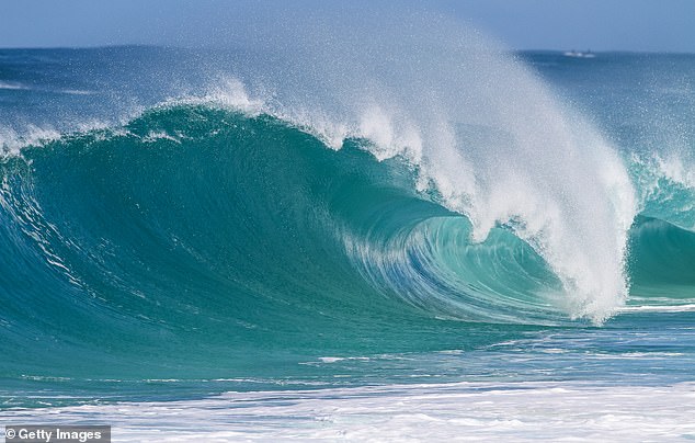 The couple and another man, Bryan C Kunic, 63, of Hollister, California, were stranded in the ocean for about 20 minutes before being rescued (pictured: Kei Iki Beach).