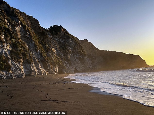 Caves and enclaves are scattered around the beaches and forests of the Waikato region (pictured)