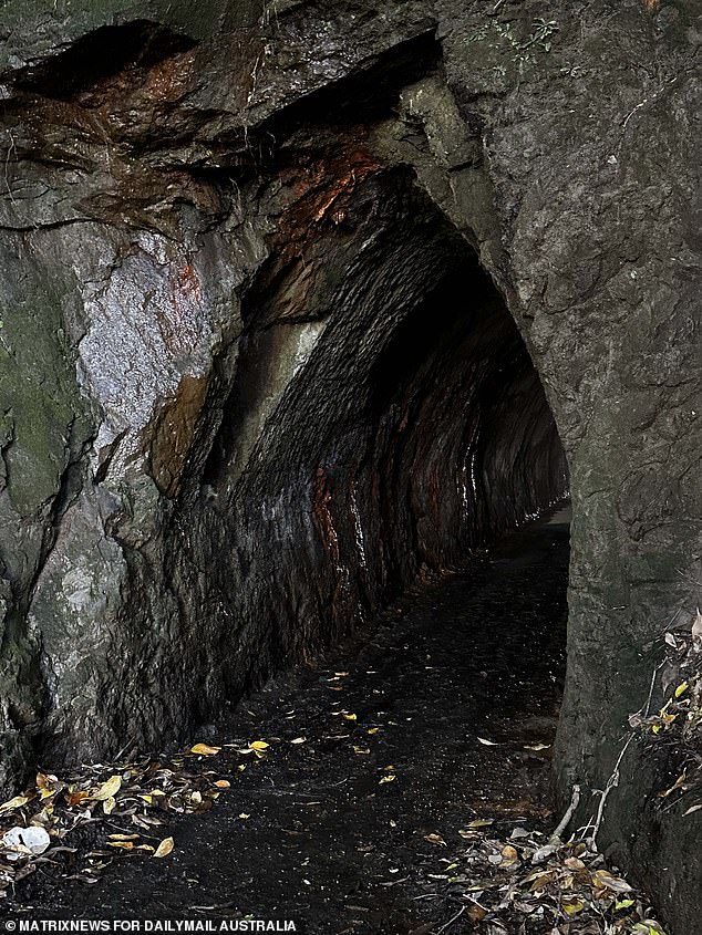 Phillips may have searched for weather debris in caves, like the one pictured in the Waikato region, near where he disappeared.