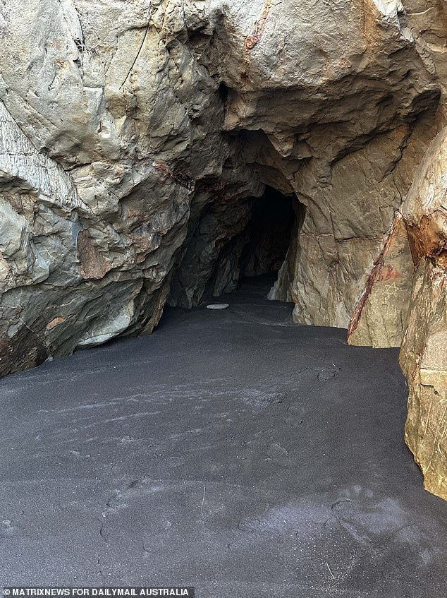 Bushtracker Jake Cassar said drones and motion detectors wouldn't be able to find the Phillips family because they were hiding in caves, like the one above in the Waikato region.