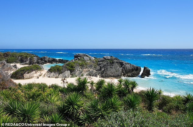 He was with his family on a cruise that made its first stop at Horseshoe Bay Beach in Bermuda on October 7 when they noticed the young man in distress.