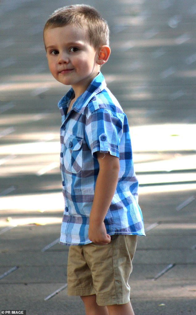 William's biological grandmother Natalie Collins admitted she had previously hidden the boy (pictured) in 2012 after the court ordered him to be separated from his biological parents.