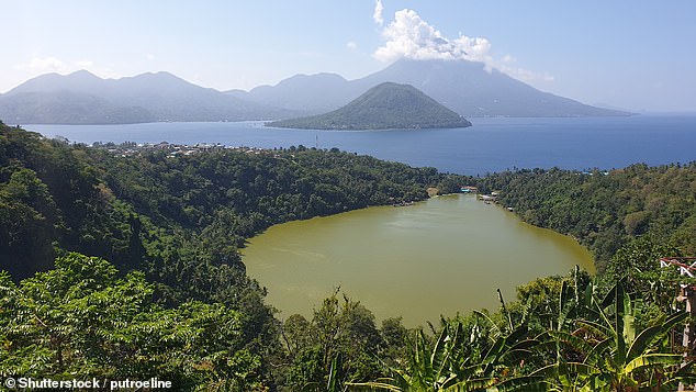 Indonesia is located at the meeting point between the Pacific, Eurasian and Indo-Australian tectonic plates, making it a hotspot for earthquakes (Archive image of the Halmahera Sea)