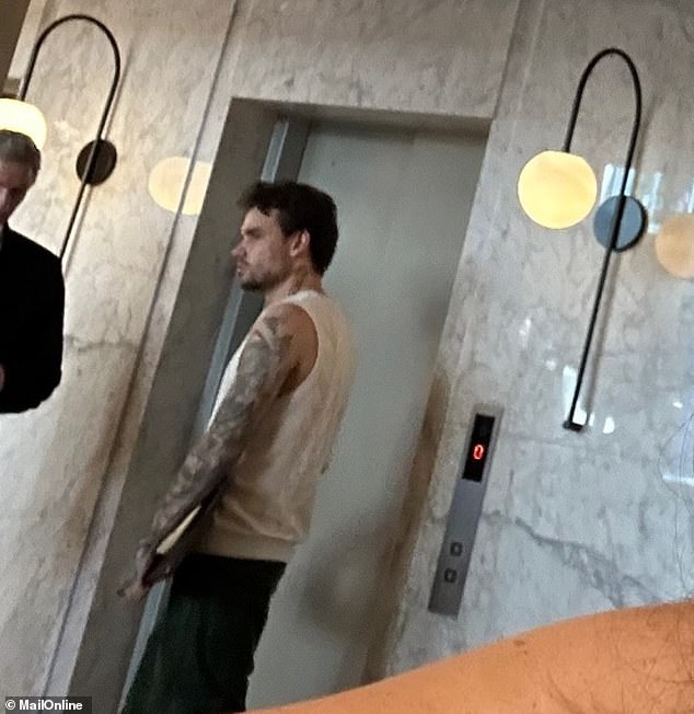 Liam Payne photographed next to a lift in the lobby of the Casa Sur Hotel at 4.28pm on Wednesday, shortly before his death, which is currently considered 