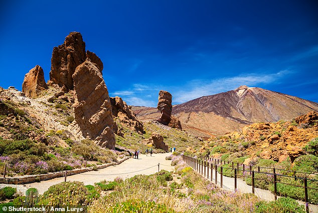 Angela drives slowly through Teide National Park (seen here). 