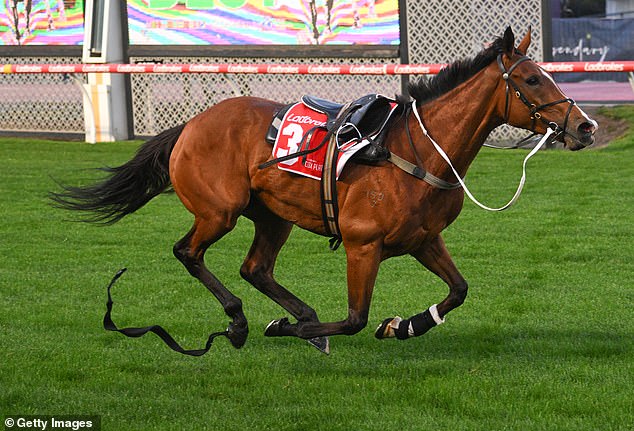 The dramatic incident unfolded shortly after 6.30am, with the horse and hoop notably unharmed (pictured, a riderless Via Sistina).