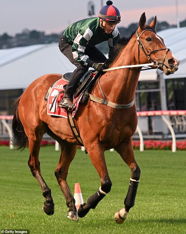 Superstar jockey James McDonald was awarded 