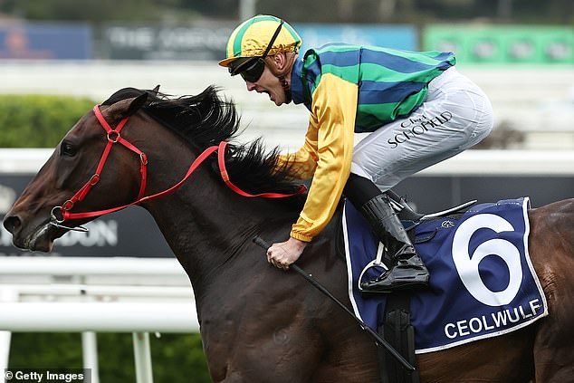 Ceolwulf (pictured) was the second of Pride's horses to win over the weekend, with Lekvarte winning the Group Three James Squire Angst Stakes.