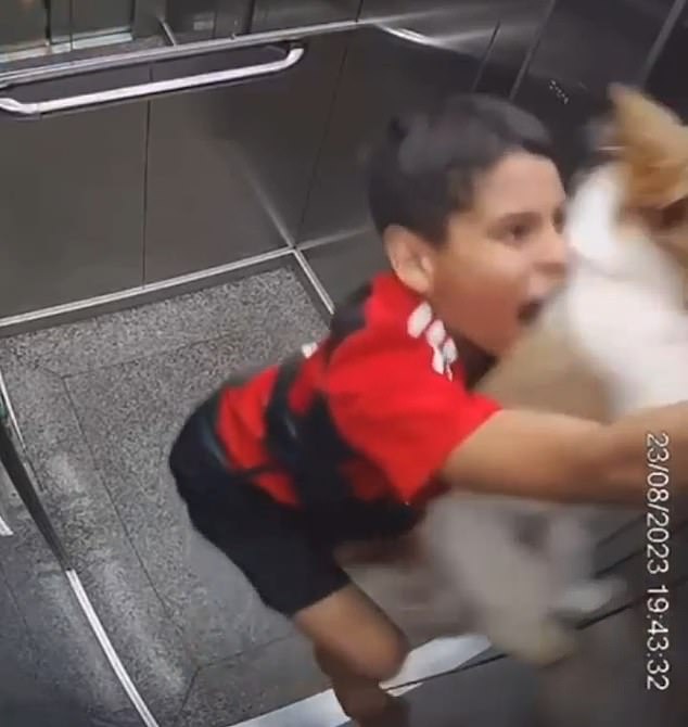 Surveillance camera shows Thiago Magalhães being dragged to the roof of his apartment building's elevator moments before he was able to save his dog from possible suffocation by his own collar.