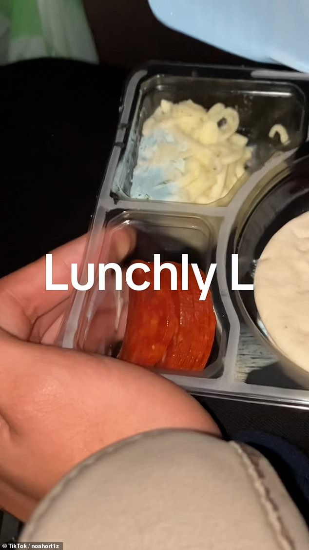 Pictured: What appears to be mold on a lunch package posted by a user on TikTok