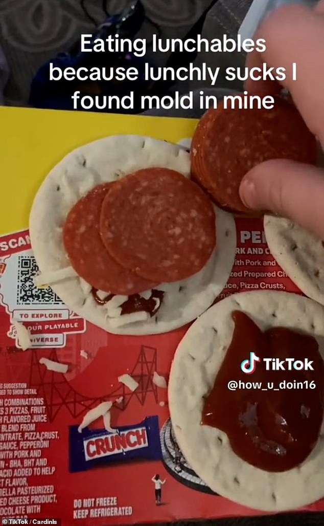 TikTokker says they are now eating Lunchables because they found 'mold' on their Lunchy package