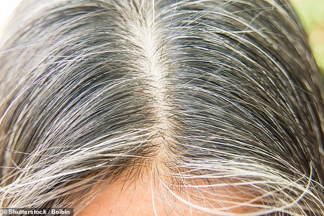 There are several reasons why someone may go gray at a younger age, but Dr. Sethi suggested that a lack of vitamin B12 or copper can disrupt the production of oxygen and melanin in the hair, causing it to turn gray.