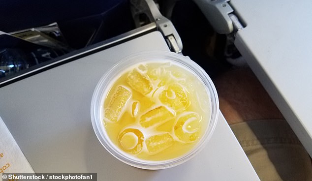 Airline ice can sometimes be contaminated, Dr. Detwiler told DailyMail.com, 