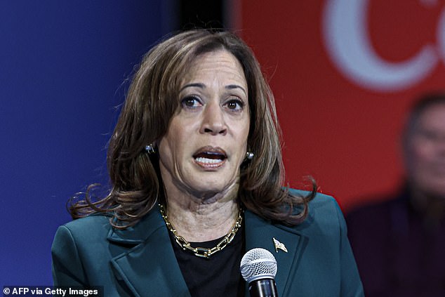 Vice President and Democratic presidential candidate Kamala Harris was traveling in her motorcade moments after Milwaukee police stopped the wrong-way driver.