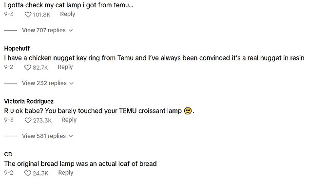 Some TikTok users expressed surprise at the fact that the lamp was made from a real croissant, while others joked about ordering from Temu.