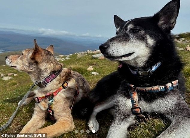 The tragedy claimed the lives of both Mrs. Parker and her pets. The 20-year-old man who was driving the car was not injured.