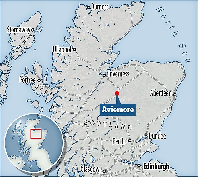 The incident occurred at around 9.45pm on Friday 11 October near the town of Aviemore, near the Granish junction of the B9152, and involved a gray Peugeot 207.