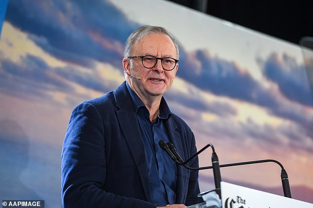 Labor politicians are right to be worried. In the July UK election, Keir Starmer's Labor Party won a seismic majority, but still lost four seats to independent candidates espousing a pro-Palestinian platform (pictured: Prime Minister Anthony Albanese).