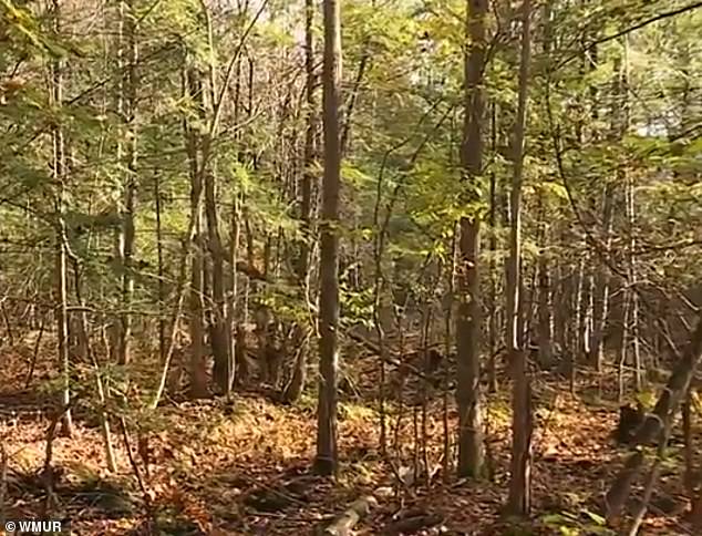 The bones found over the weekend were just a block from the family's home.