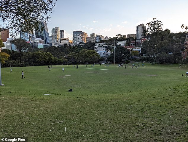 The off-leash park, Forsyth Park, Neutral Bay, where the incident occurred.