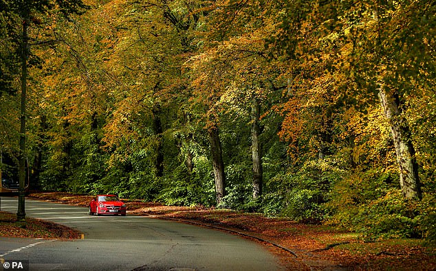 Last month, the AA found that almost three quarters of drivers said the worst thing about driving in autumn was being dazzled by the sun.